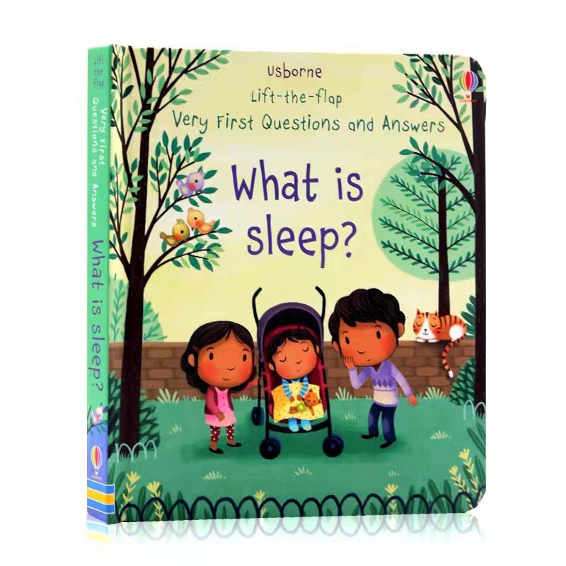 Usborne Lift-The-Flap What Is Sleep