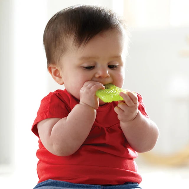 Munchkin Fun Ice Chewy Teether Toy 0M+