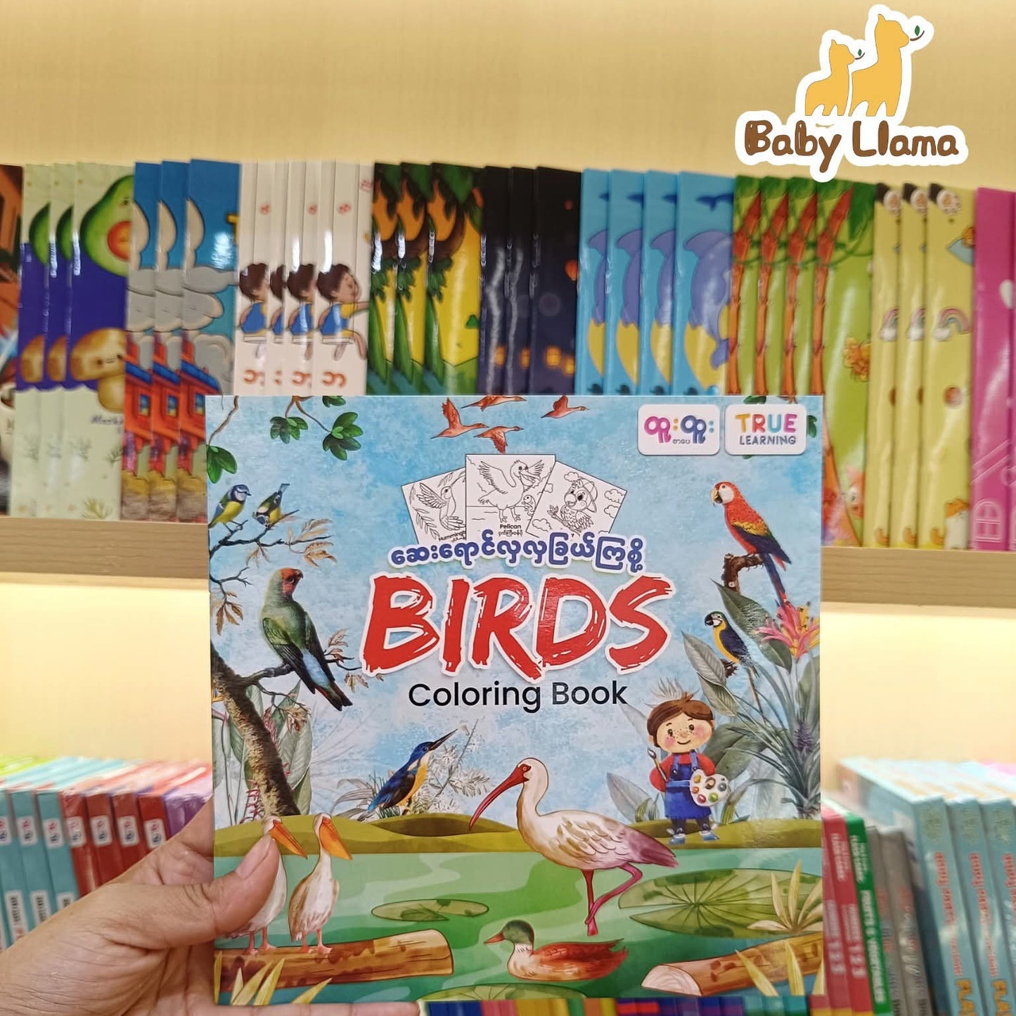 True Learning Coloring Book Birds
