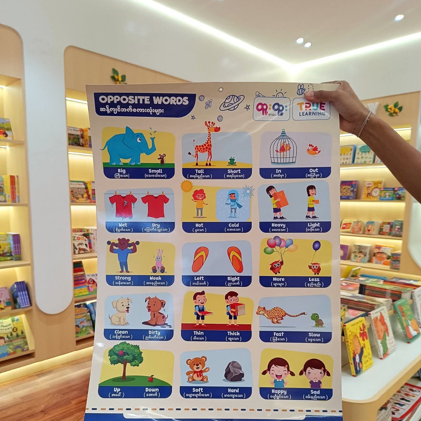 True Learning Opposite Poster