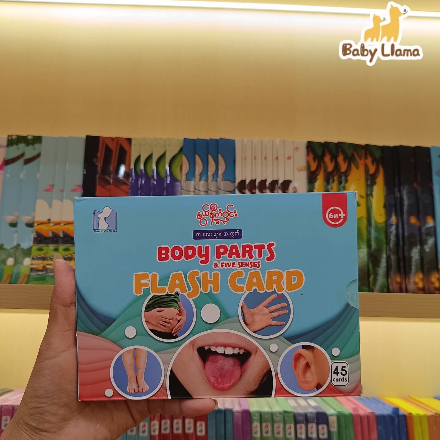 နွယ်နီကံဝင်း Body Parts & Five Senses Flash Card 6Months+