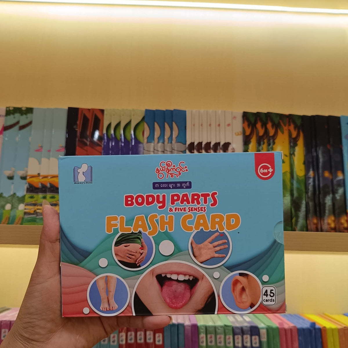 နွယ်နီကံဝင်း Body Parts & Five Senses Flash Card 6Months+
