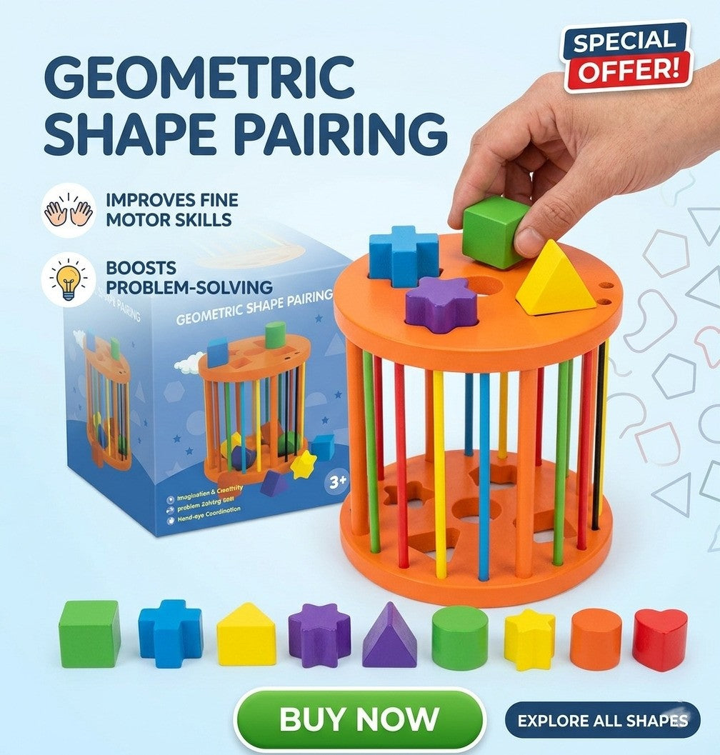 Geometric Toy 3Yr+