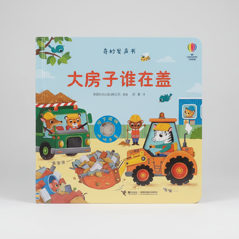 Who is Building The Big House CV