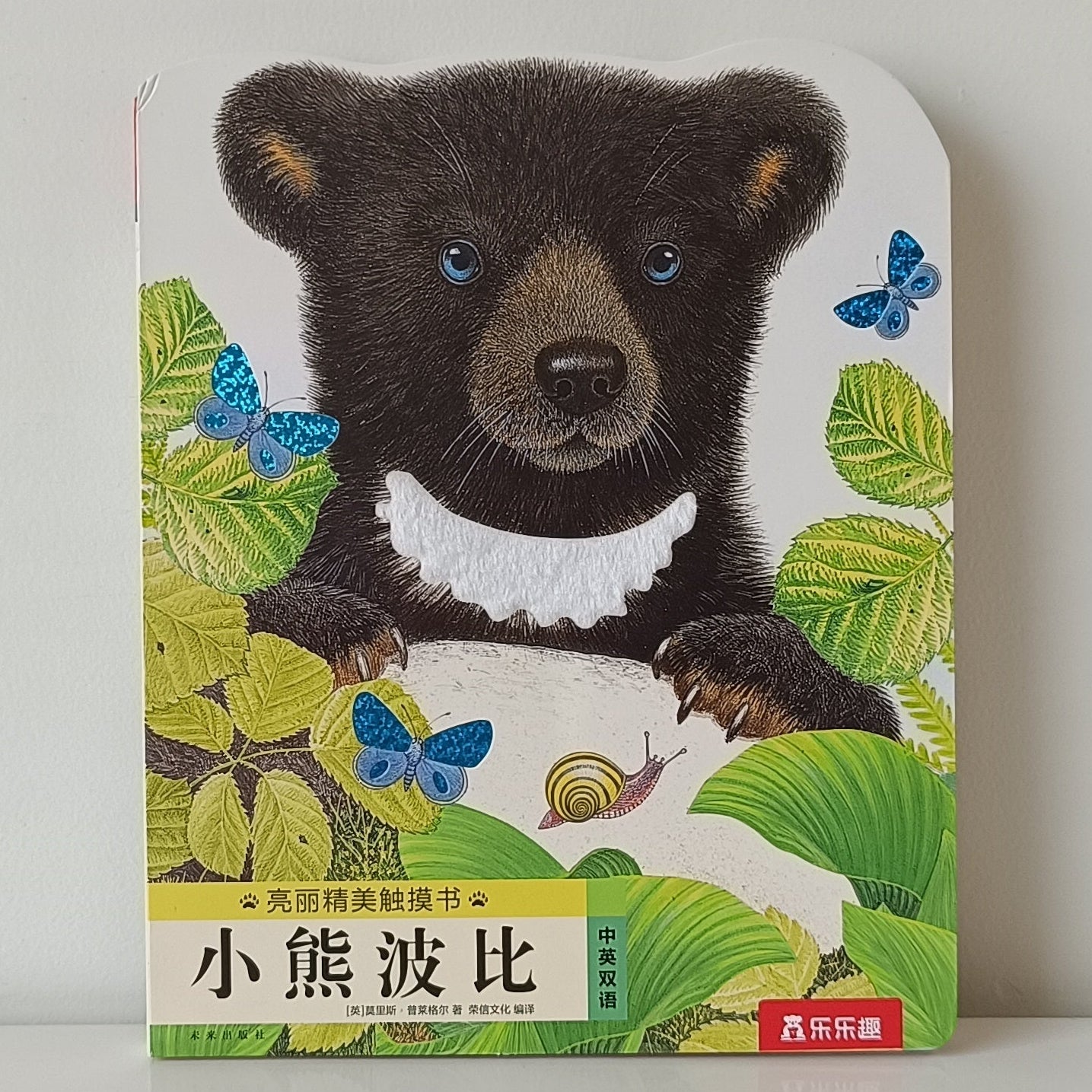 Bobby The Bear Touch Book CV
