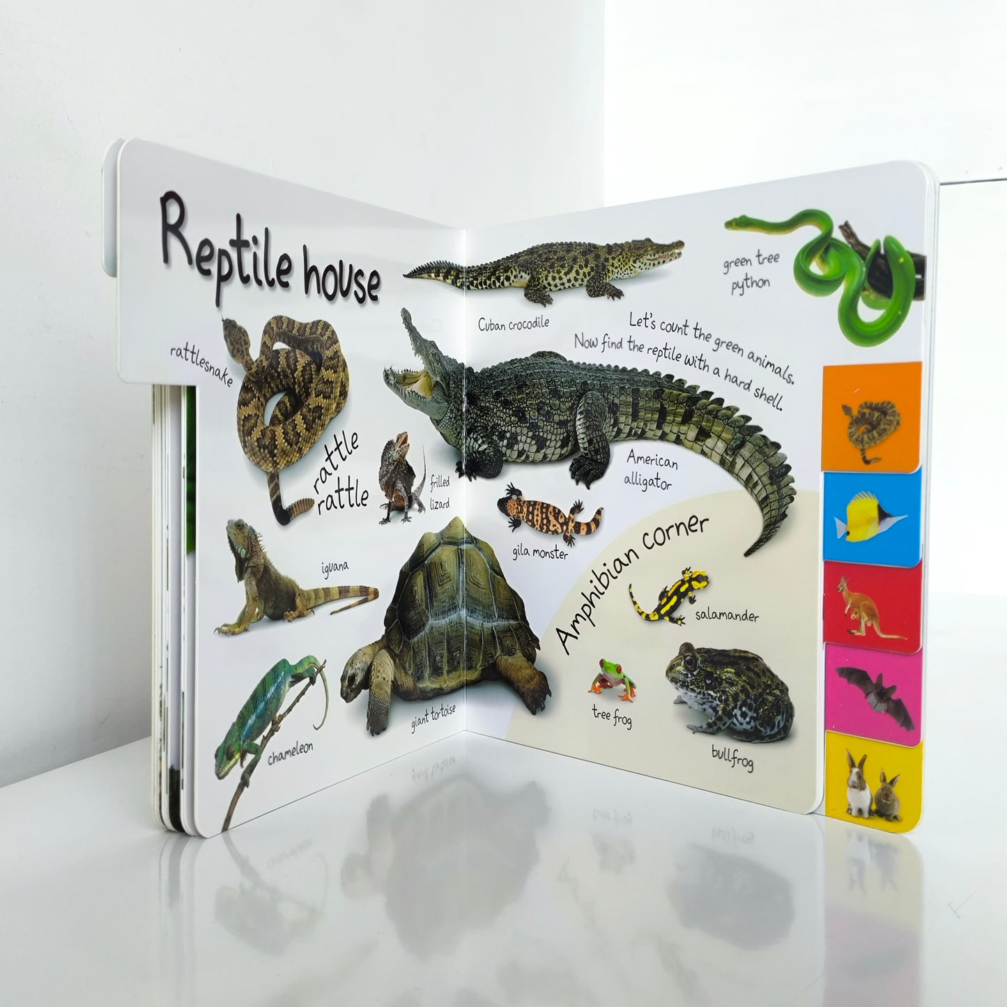 Dk My First Words Zoo