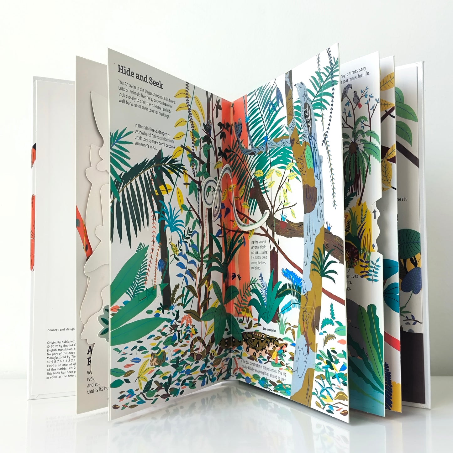 Ultimate Spotlight Rain Forest Animals