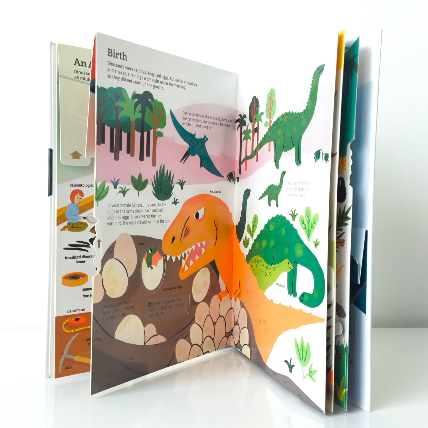 Ultimate Spotlight Dinosaurs