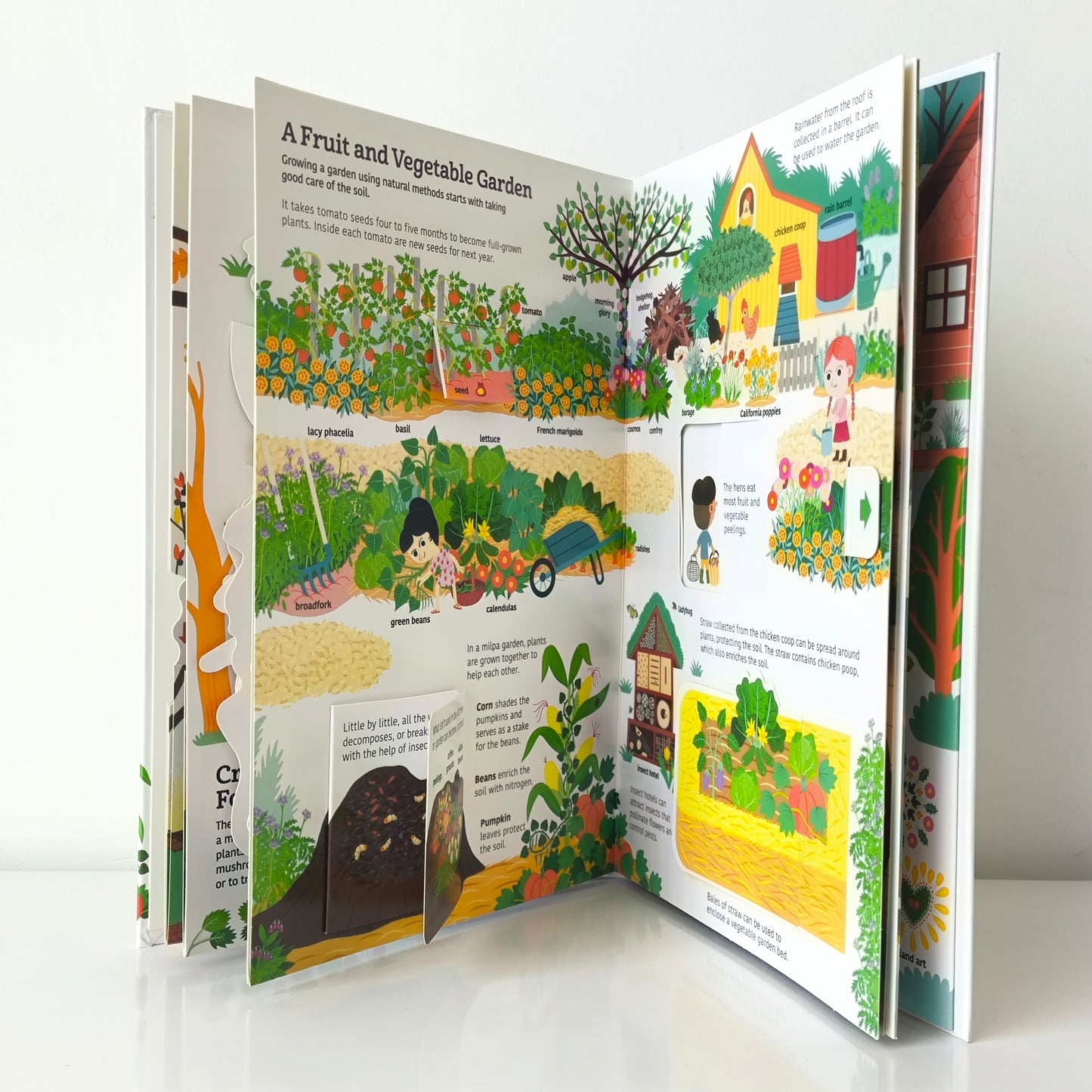 Ultimate Spotlight Caring For Earth