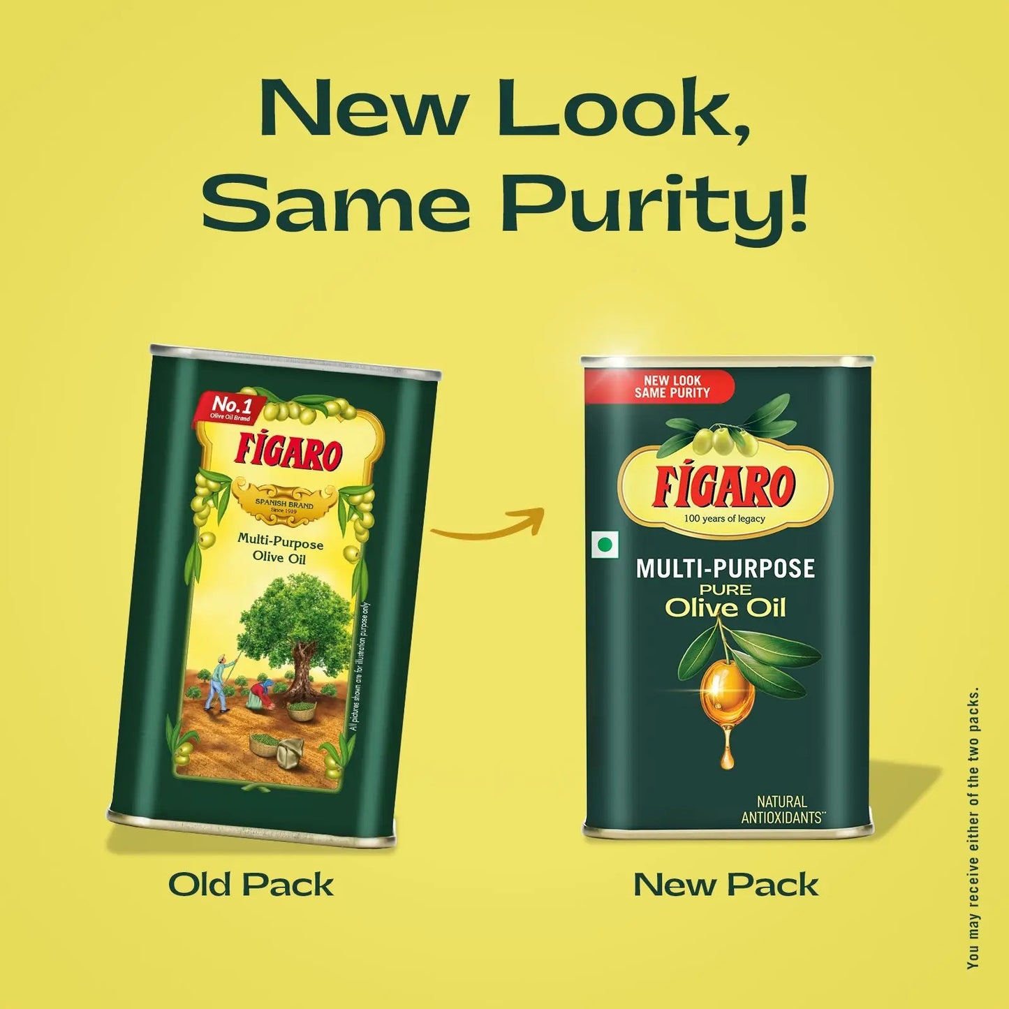 Figaro Multi-purpose Pure Olive Oil – 200 ml(182g)