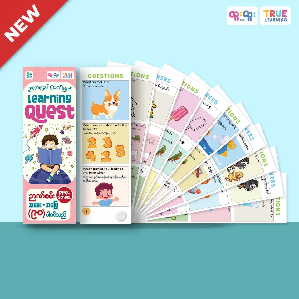 True Learning Learning Quest