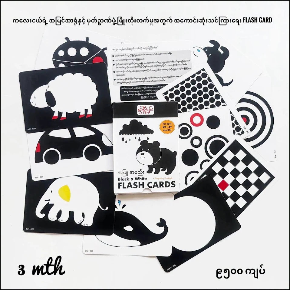 Nwe Ni Kan Win Black & White Flash Cards