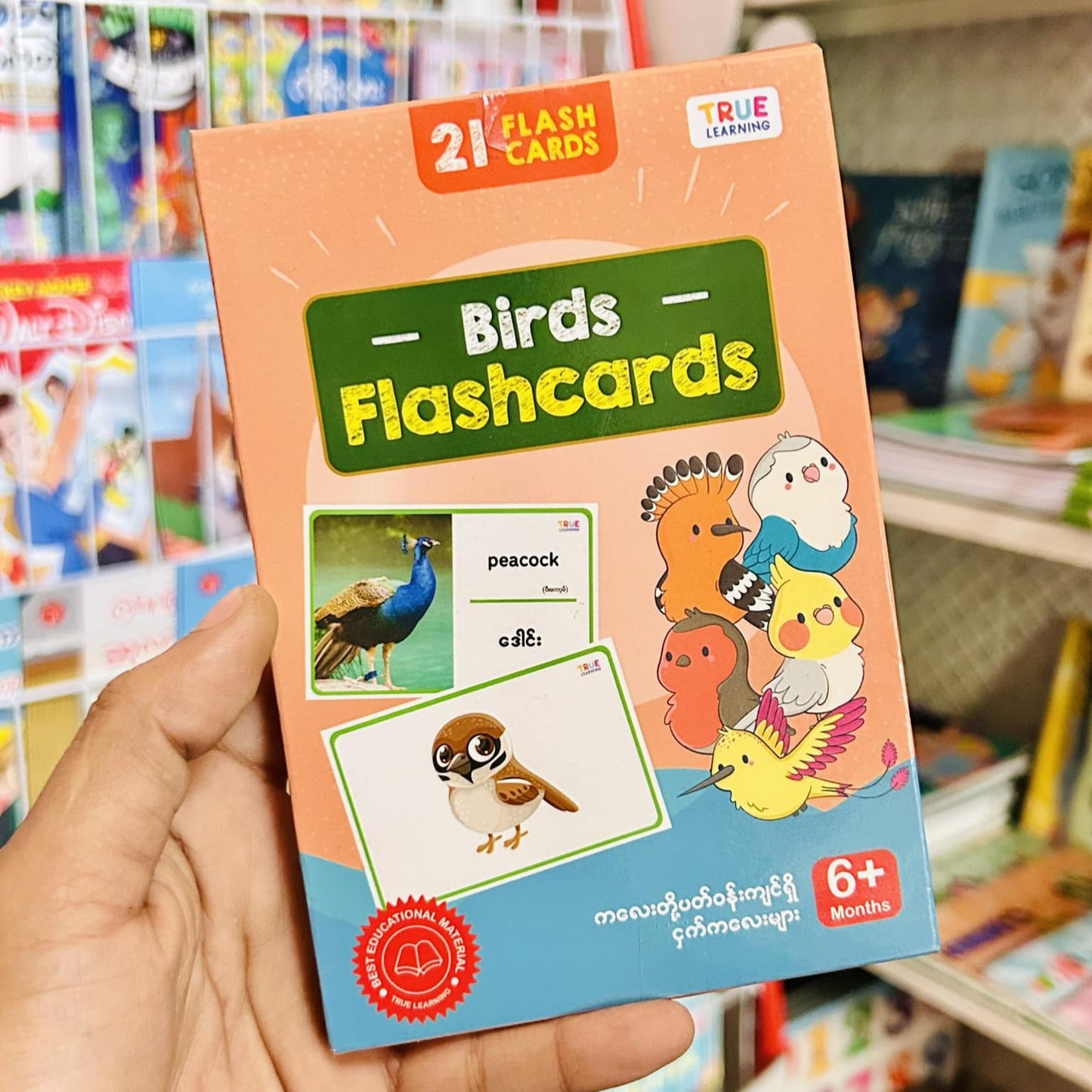 True Learning 21 Flashcards - Birds