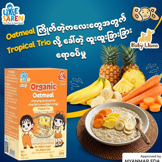 Little Saren Organic Oatmeal 80g(20g*4Packs) 6M+