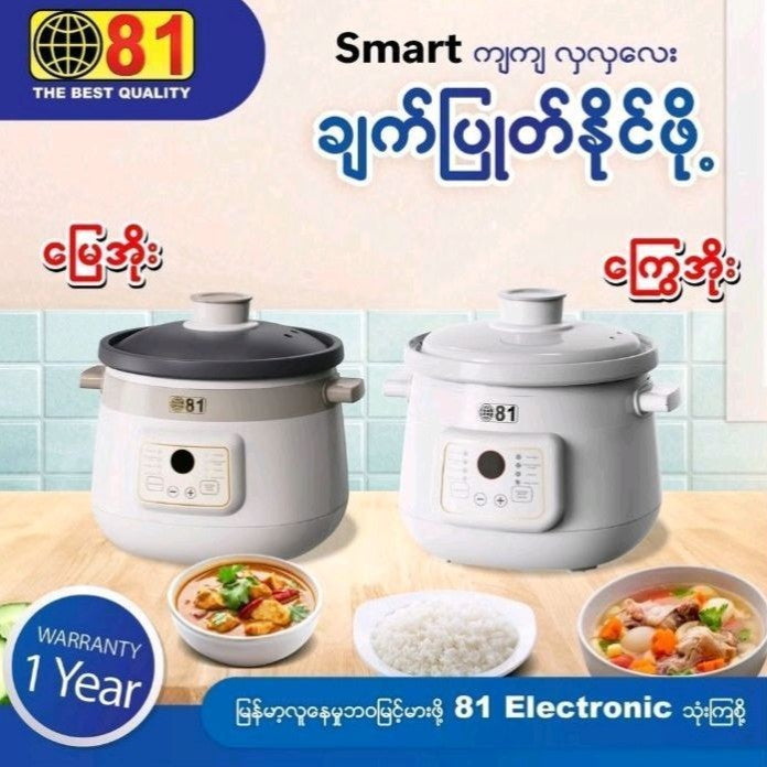 Microcomputer Electric Stew Pot 2L & 3L