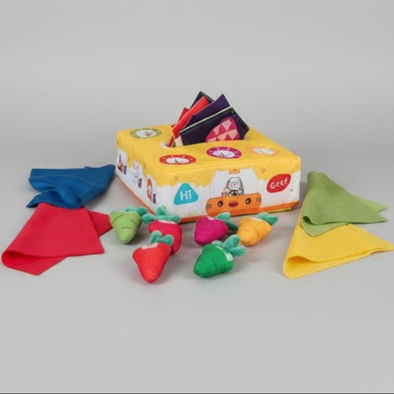 Tissue Box Toy