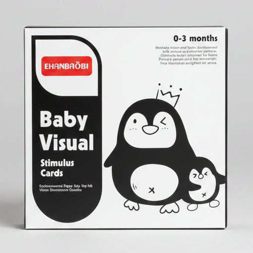 Ehanbaobi Baby Visual Stimulus Cards 0-12Months
