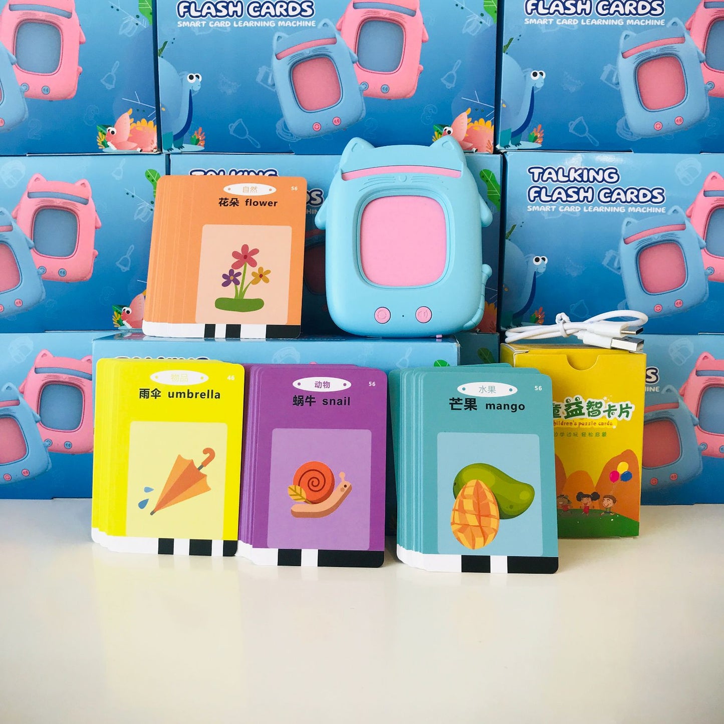 Talking Flash Cards Learning Machine
