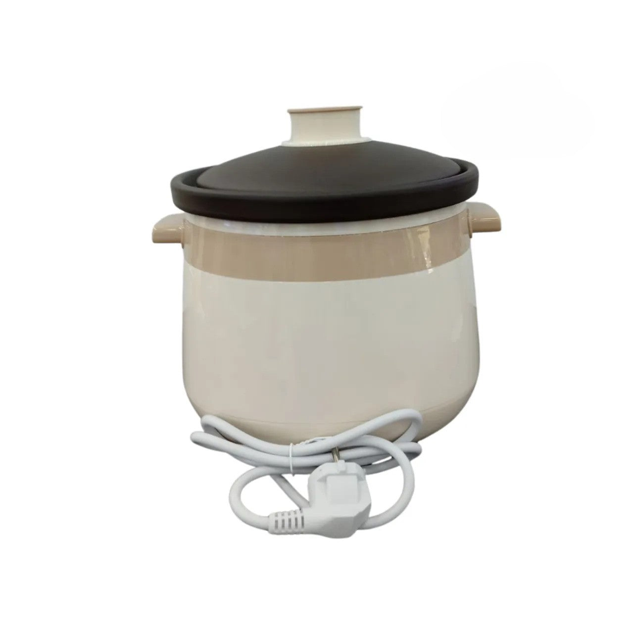 Microcomputer Electric Stew Pot 2L & 3L