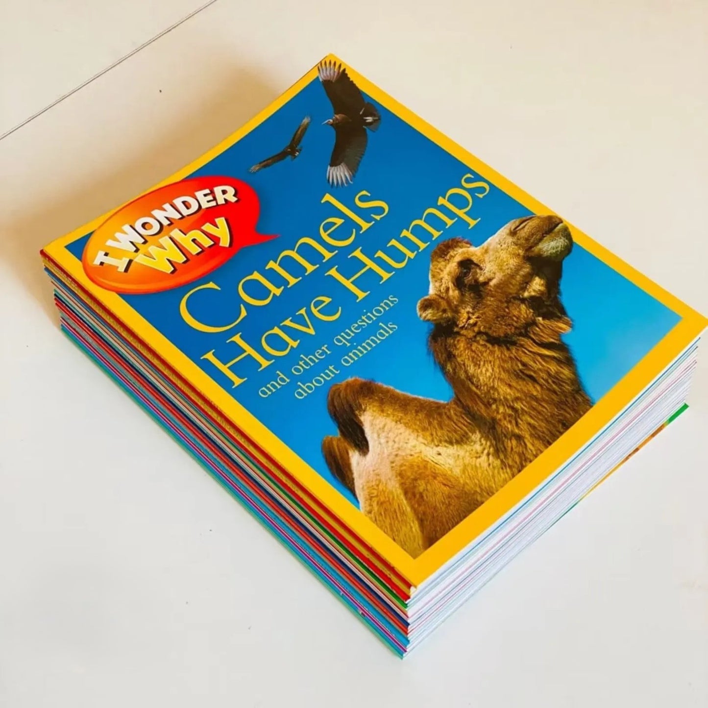 I Wonder Why 25 books