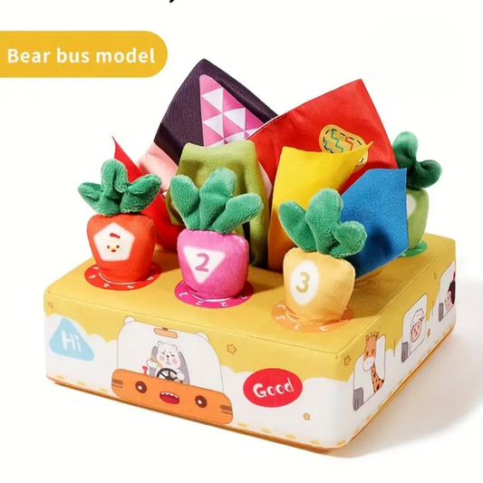 Tissue Box Toy