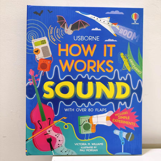 Usborne Lift-The-Flap How It Works Sound