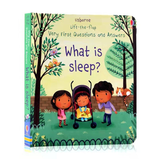 Usborne Lift-The-Flap What Is Sleep