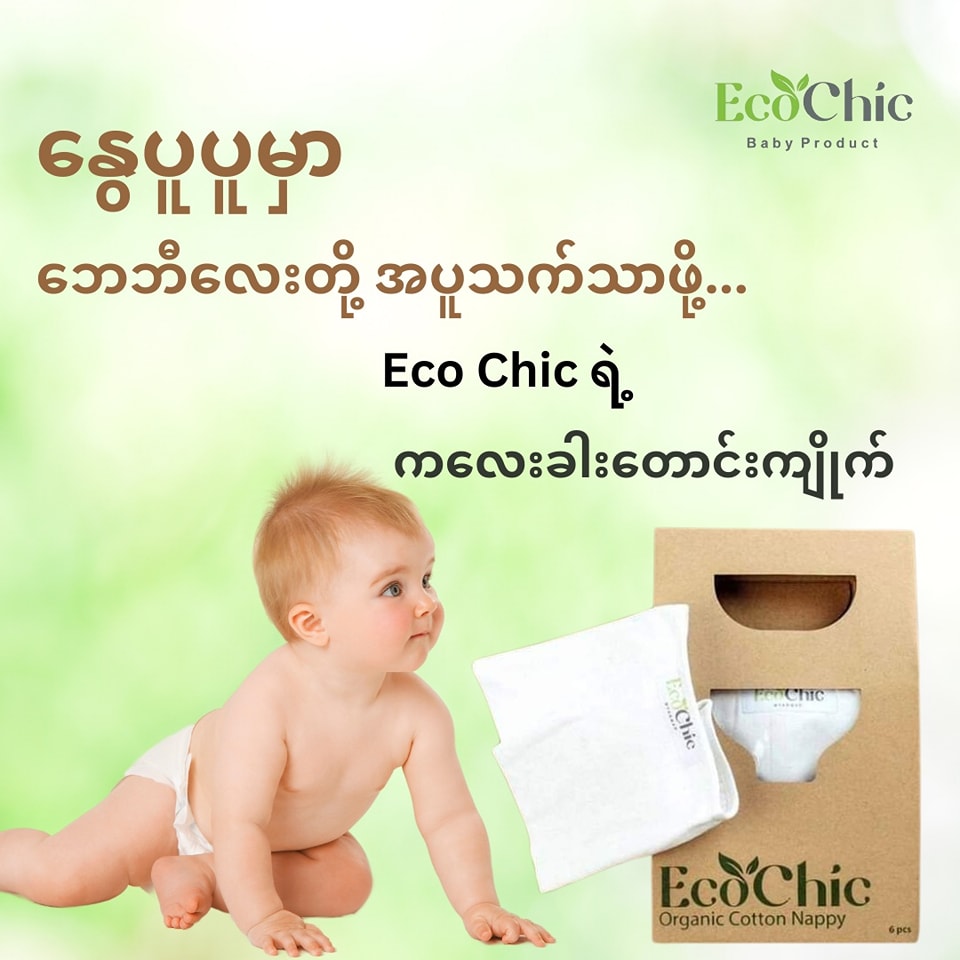 EcoChic Nappy 6pcs