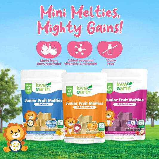 Love Earth Junior Fruit Melties 15g