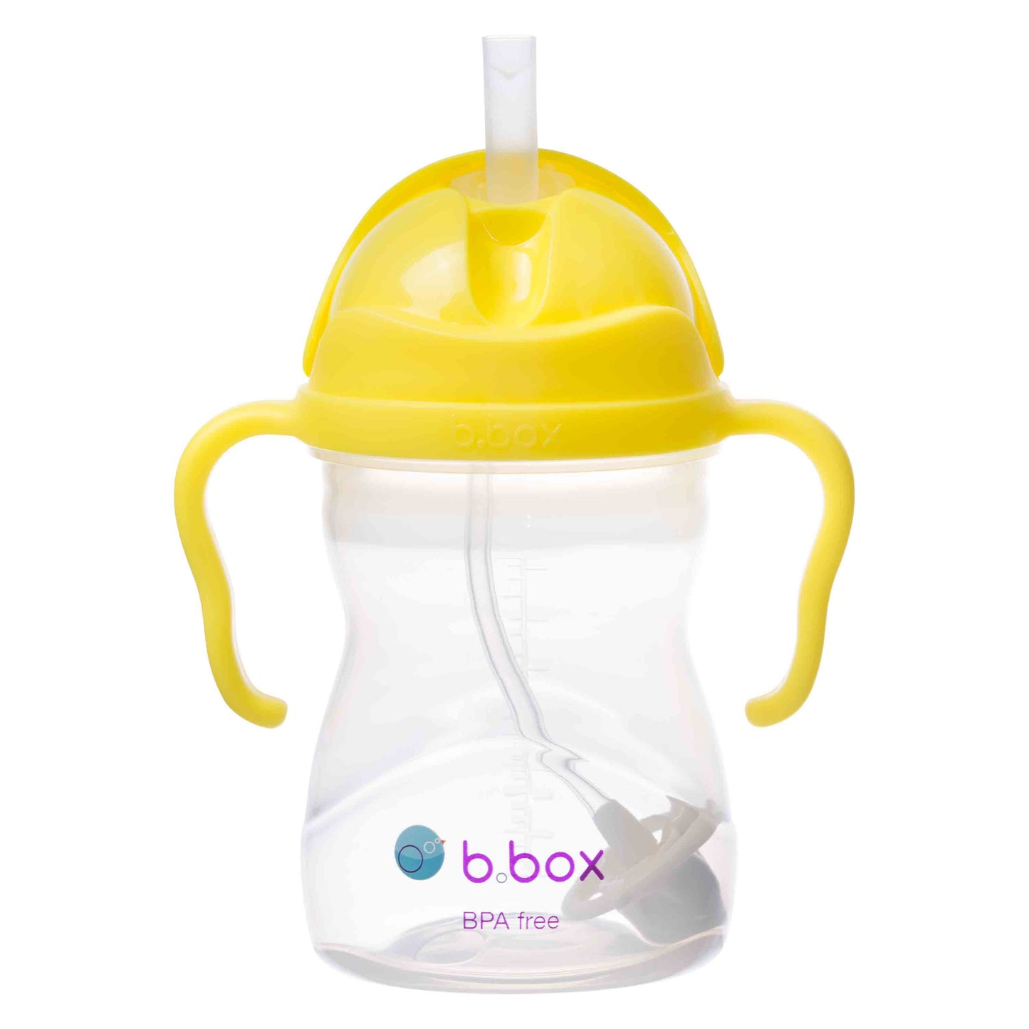 B.BOX Sippy Cup Water Bottle