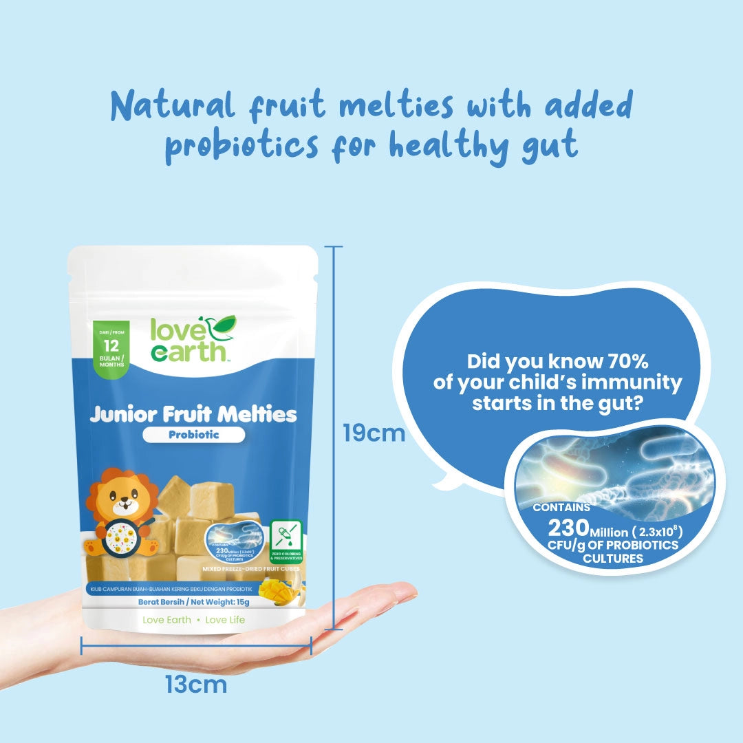 Love Earth Junior Fruit Melties 15g