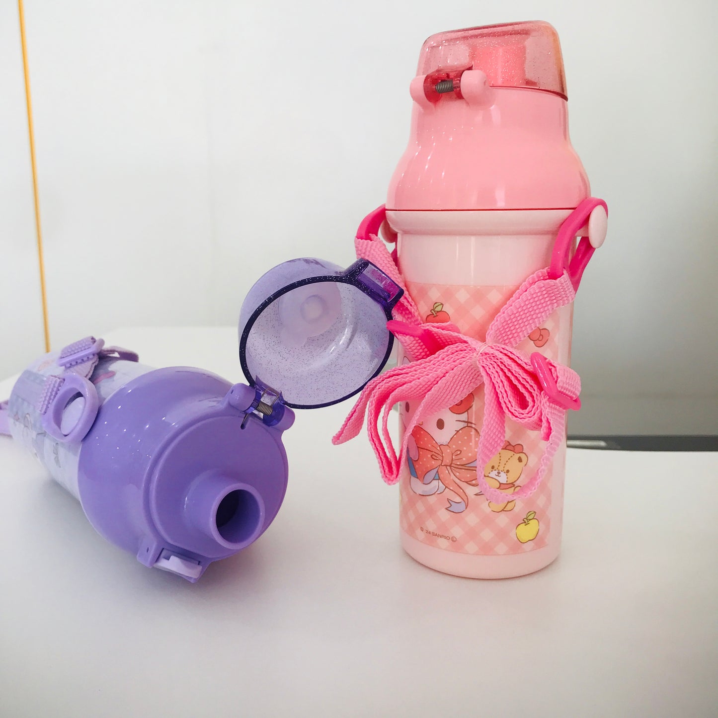 Skater Water Bottle With Shoulder Belt 480ml