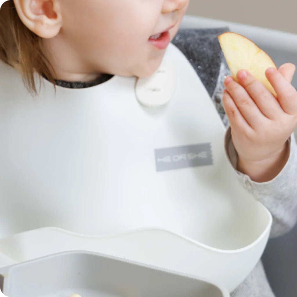 HeorShe I'm a Bib Gray, Pink & White 6M+
