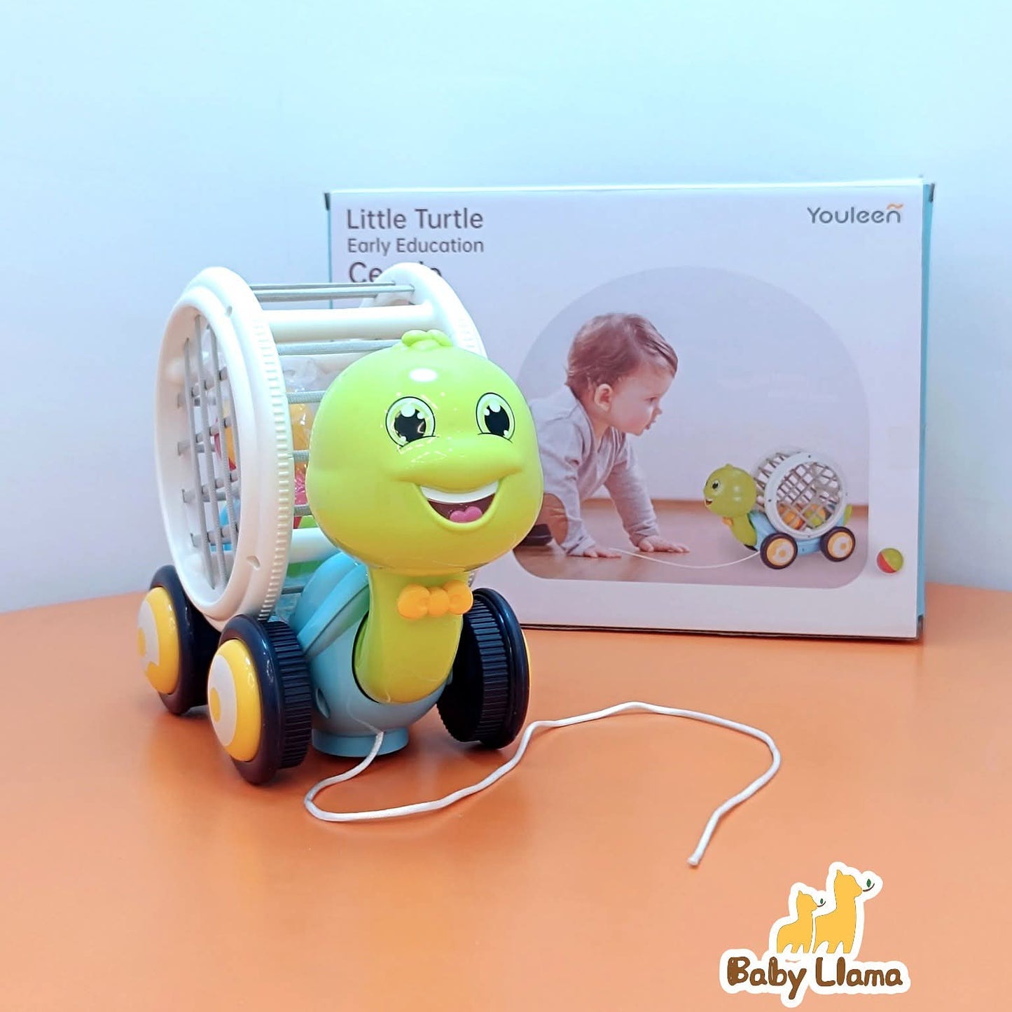 Youleen Little Turtle Early Education Cecele