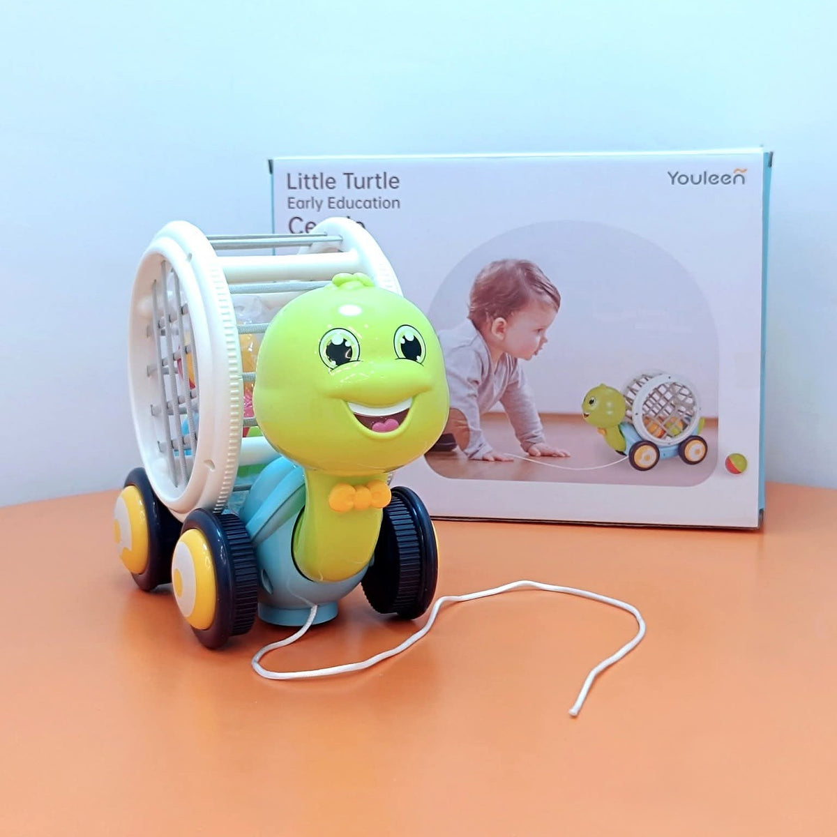 Youleen Little Turtle Early Education Cecele