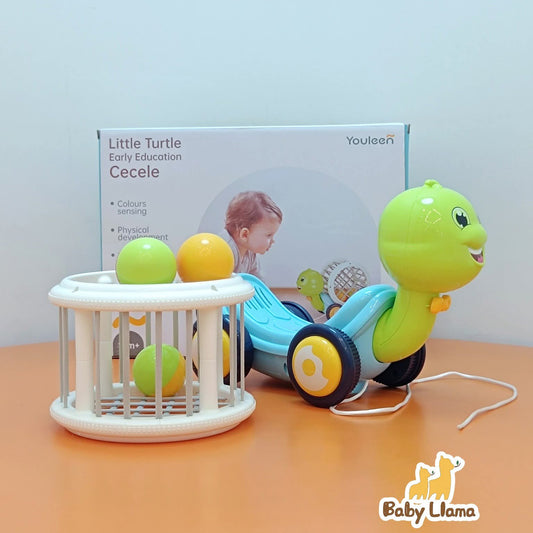 Youleen Little Turtle Early Education Cecele