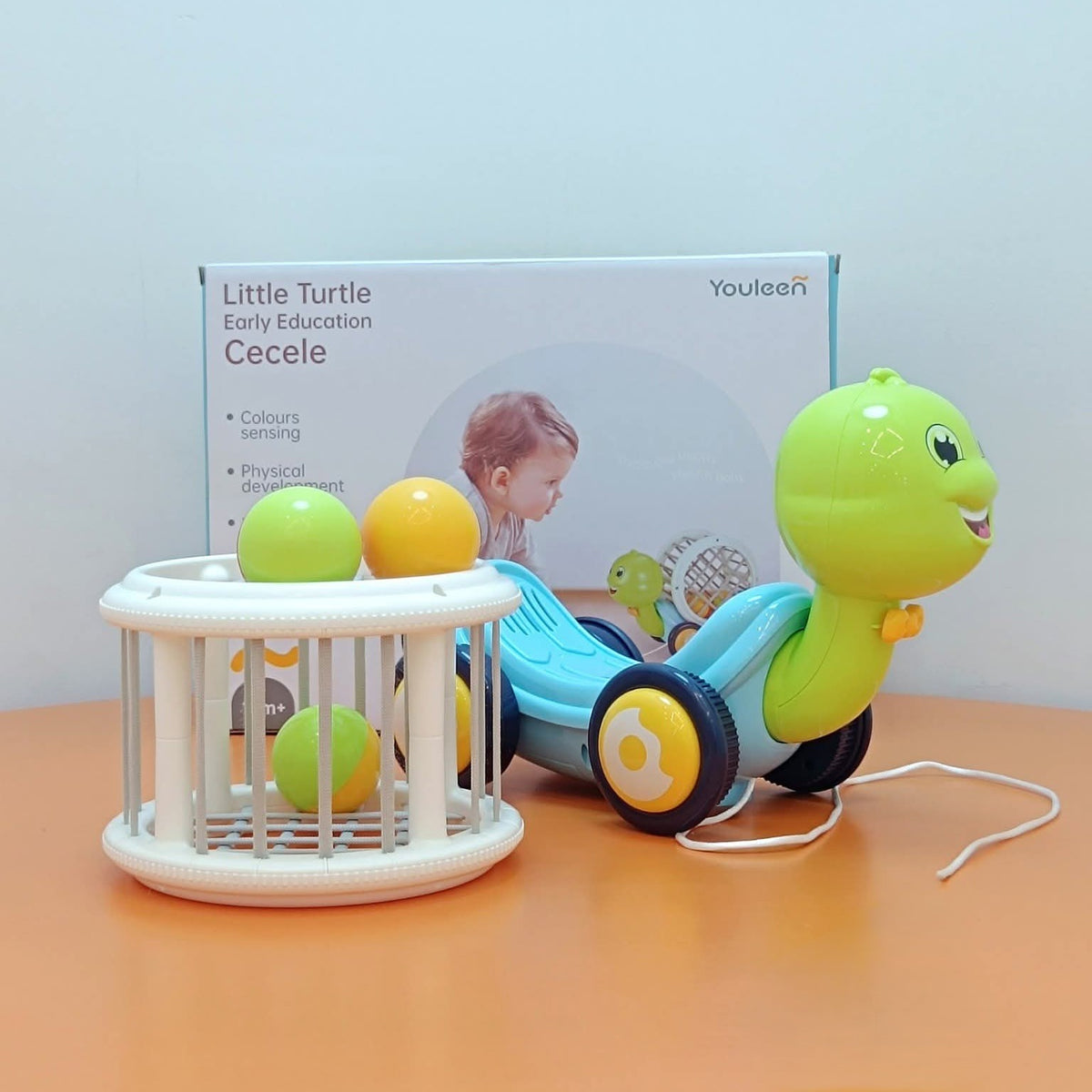 Youleen Little Turtle Early Education Cecele