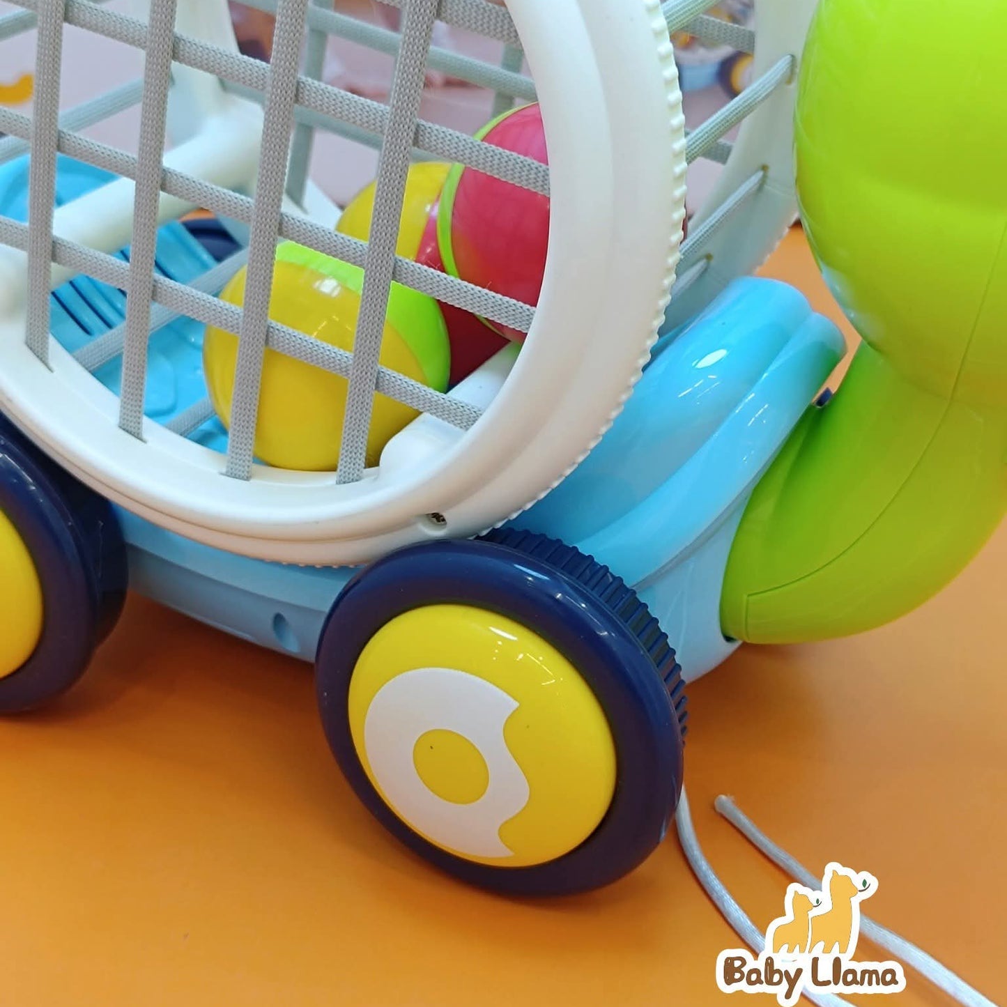 Youleen Little Turtle Early Education Cecele