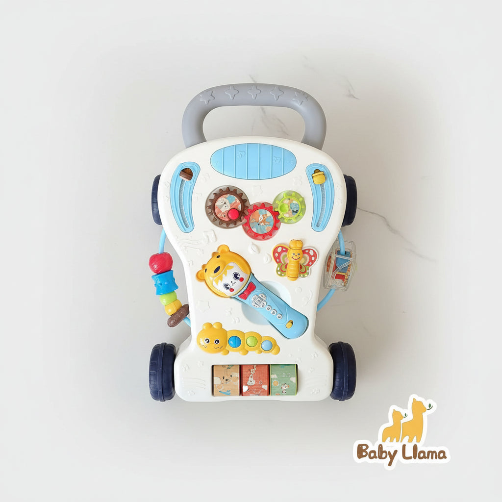 Youleen Music Walker Toy 9M+