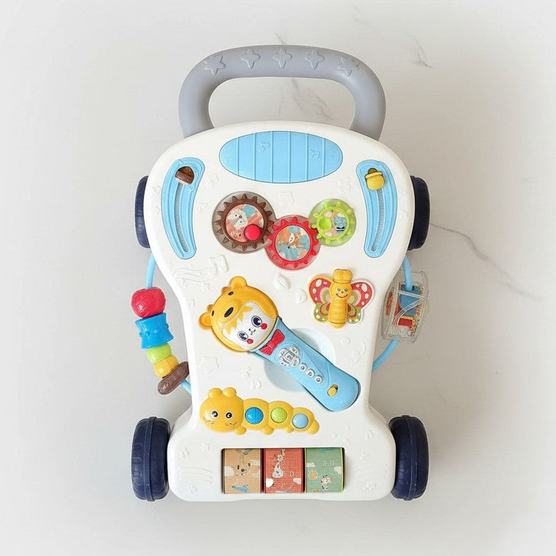 Youleen Music Walker Toy 9M+