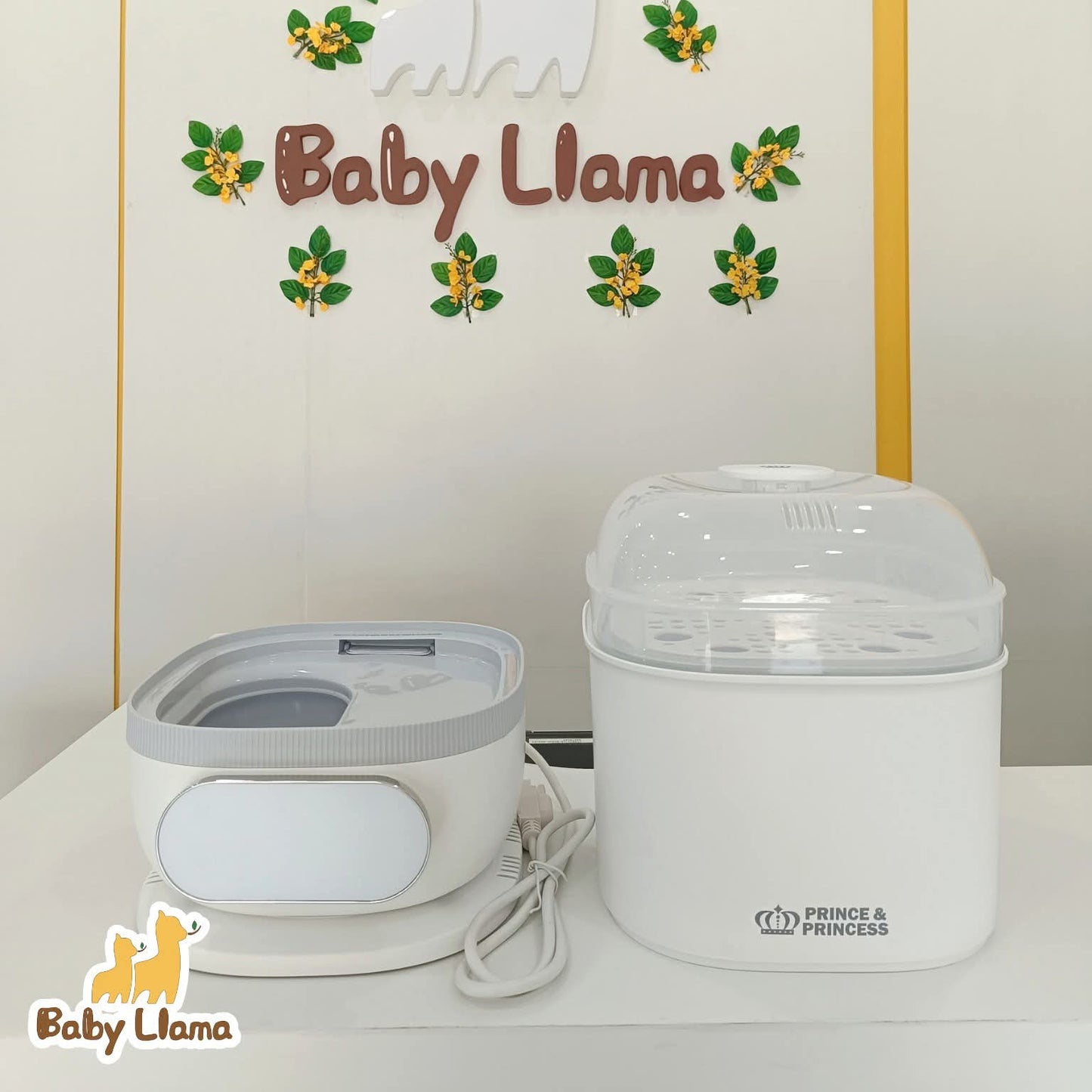 Prince & Princess Steam & Dry Sterilizer