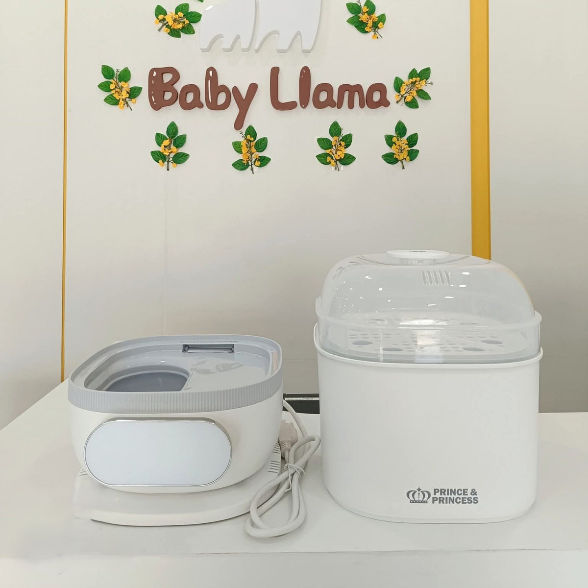 Prince & Princess Steam & Dry Sterilizer