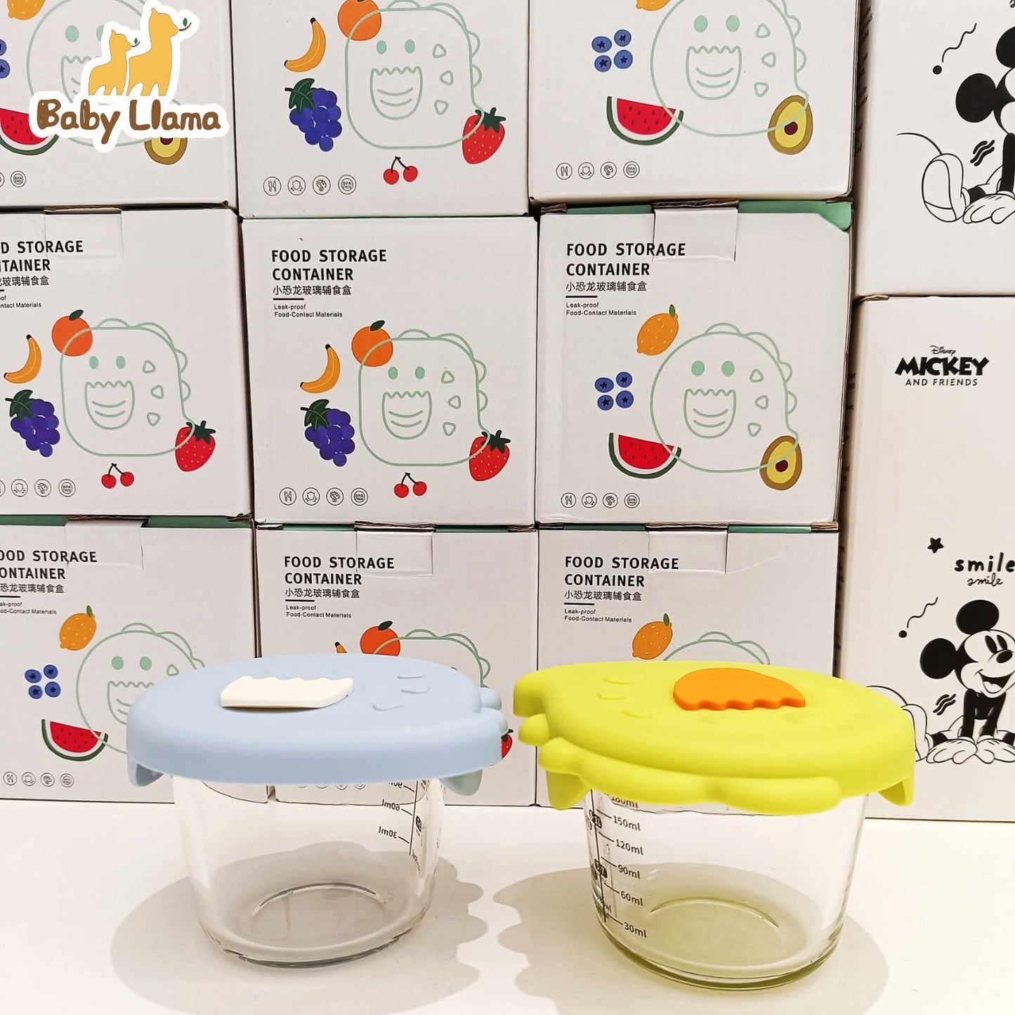 Food Storage Container Dinosaur