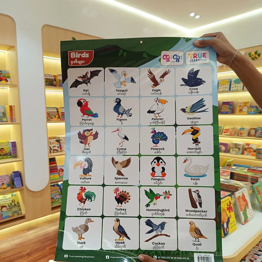 True Learning Poster Birds