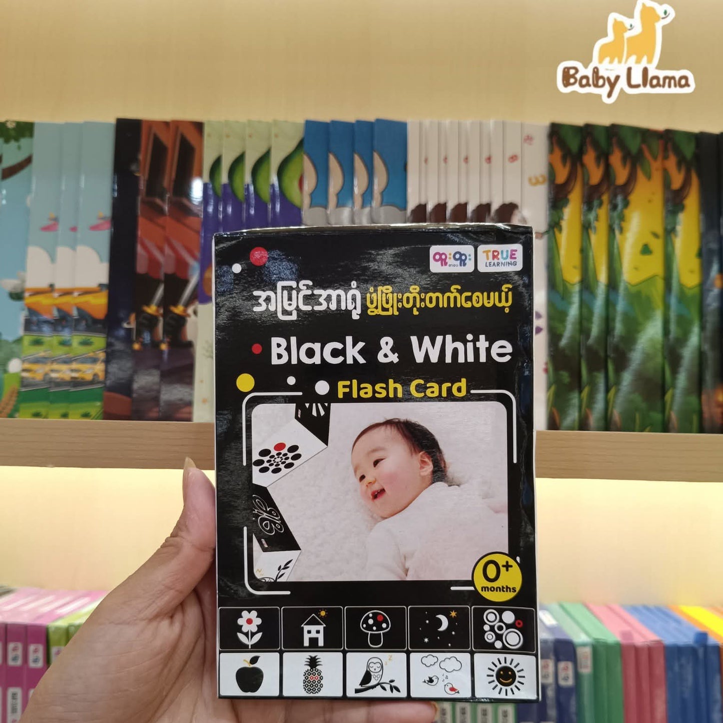 Nwe Ni Kan Win Black & White Flash Cards