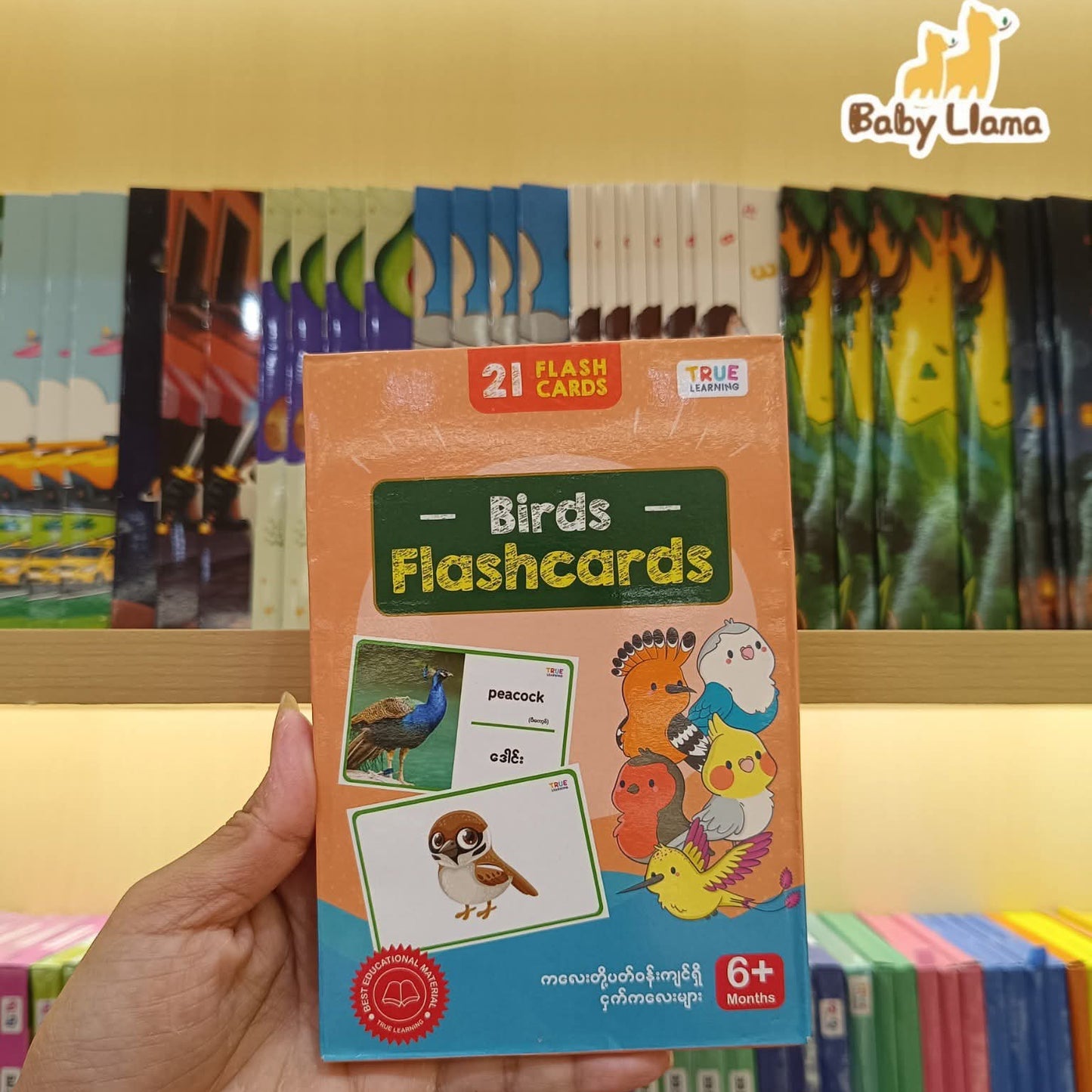 True Learning 21 Flashcards - Birds