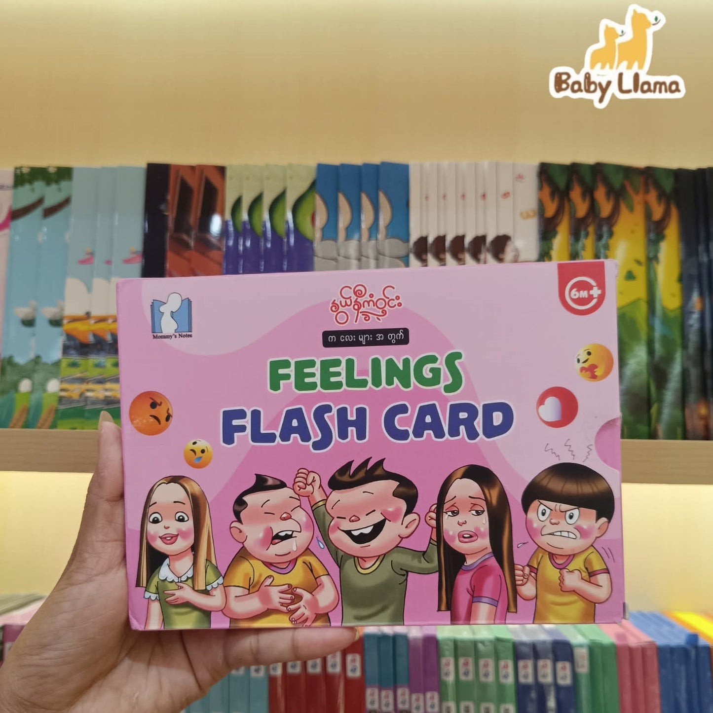 နွယ်နီကံဝင်း Feelings Flash Card 6Months+