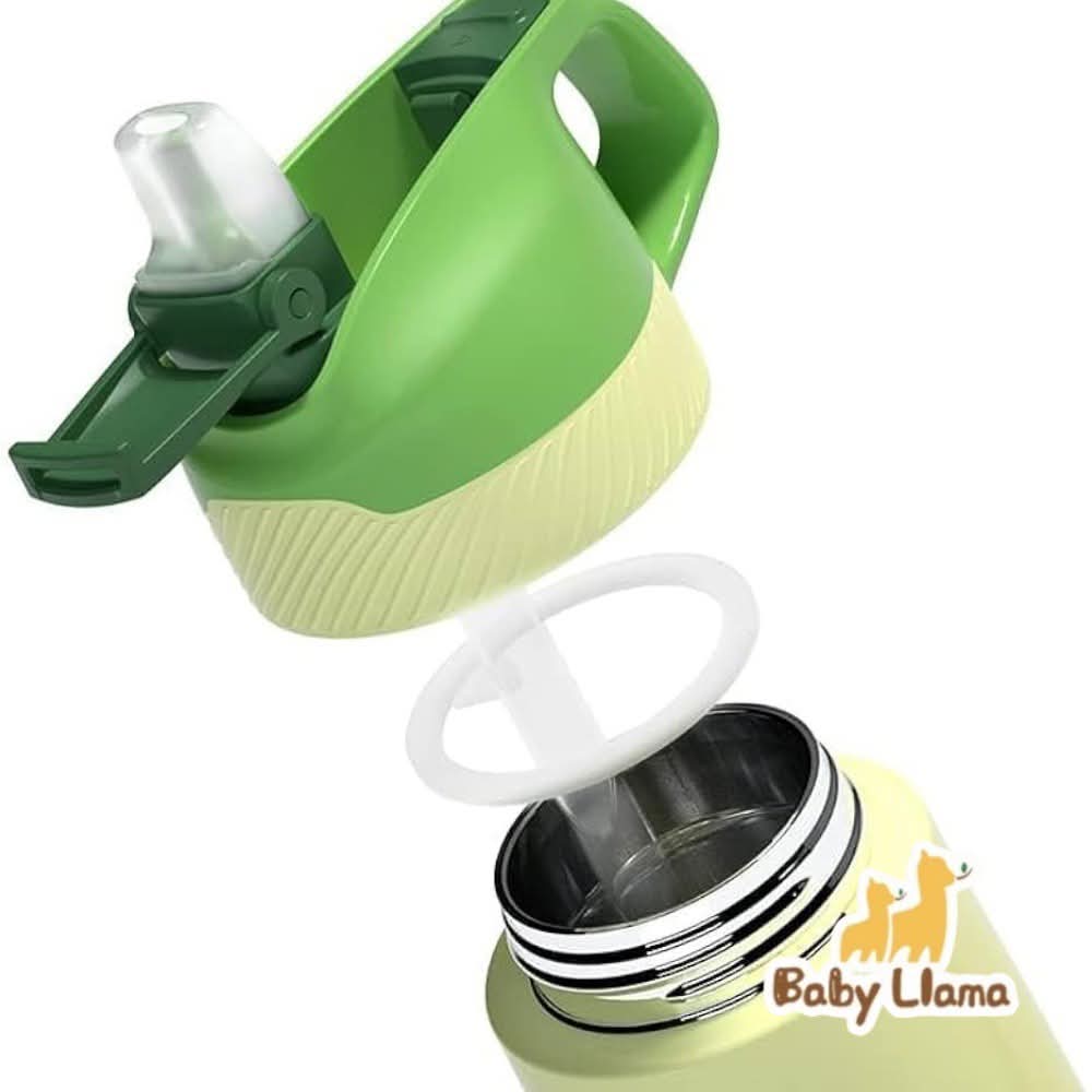 Philips AWP2653 Thermal Bottle With Smart Temperature Display & One Cup Dual Lid Design 470ml