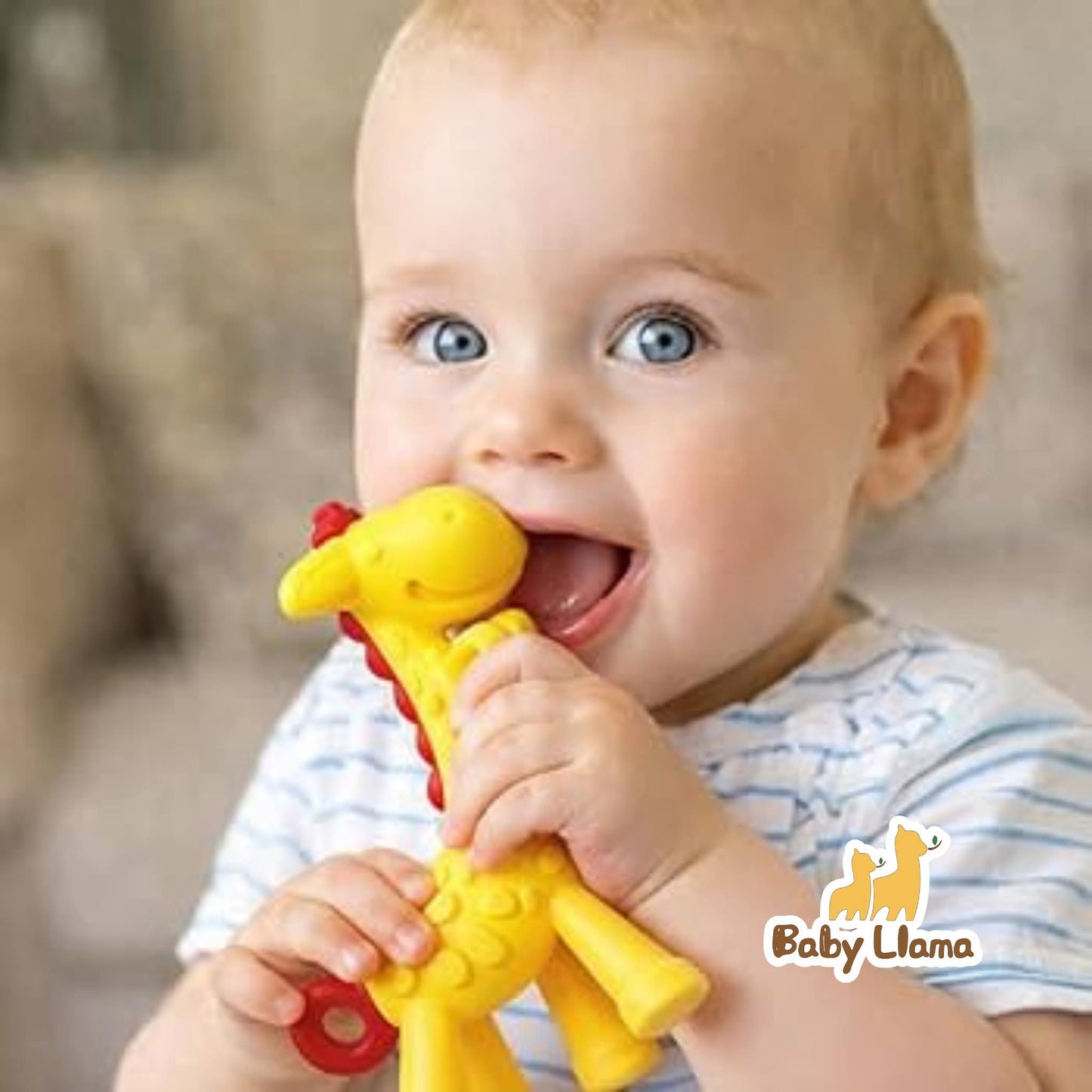 TOHO Giraffe Teether 3M+