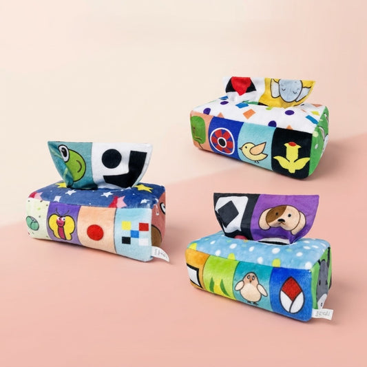 Tissue Box Toy